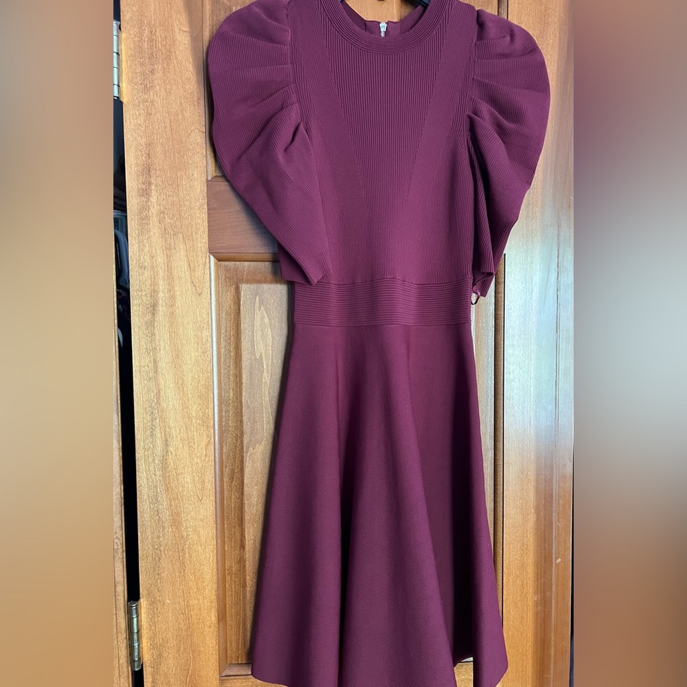 Ted Baker dress. Thicker fabric great for fall/winter.